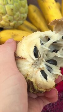  tropical fruit growing on evergreen trees. Sugar apple Scientific name is Annona muricata. Peel ripe Vietnamese Noina fruit against the background of a fruit plate 