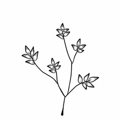 Branch leaves line art illustration
