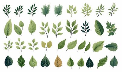 Collection of greenery leaf plant forest herbs