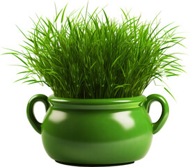 green pot,green grass pot isolated on white or transparent background,transparency
