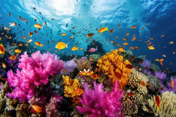 Coral reef wonders Colorful underwater scenes teeming with marine life, Breathtaking underwater vistas showcasing vibrant coral reefs bustling with marine biodiversity.