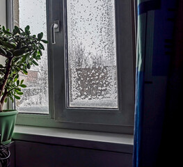 wet snow stuck to the window - 776767984