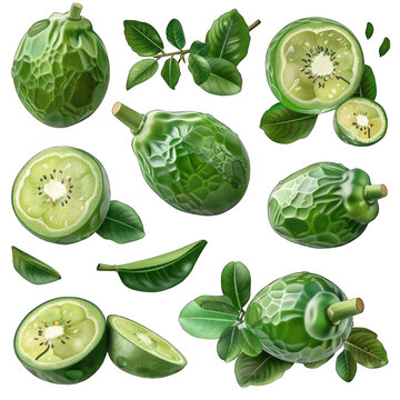 Fresh and Vibrant Feijoa Illustration Set - Perfect for Print and Design Projects! 3D Realistic Clipart on White Background, Isolated Vector Image for a Modern and Clean Look.