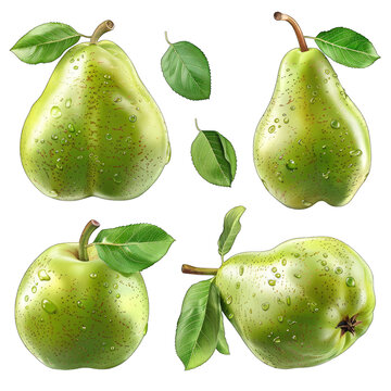 Vibrant 3D Pear Illustration Clipart Set on White Background - High-Quality Print Design for Various Projects - Vector Format for Easy Editing and Use