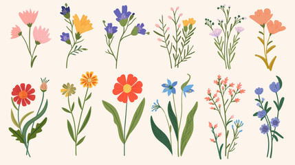 Fototapeta premium Hand drawn abstract wildflowers flowers and leaves flat icons set. Floral design with ornaments. Spring flowers blossom. Beautiful bouquet. Color isolated illustrations