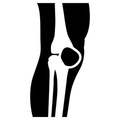 knee anatomy icon, simple vector design