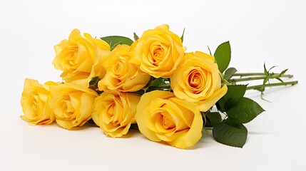 bouquet yellow rose white background