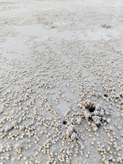 Fototapeta na wymiar crab holes on beach in sunshine day