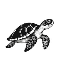 Obraz premium Tortoise or Turtle Silhouette PNG Files Print for White Background