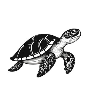 recommend clip art: Tortoise or Turtle Silhouette PNG Files Print for White Background