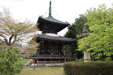  A Japanese temple： Taho-to Pagoda un the precincts of Seiryo-ji Temple in Kyoto 日本のお寺：京都の清凉寺の境内にある多宝塔