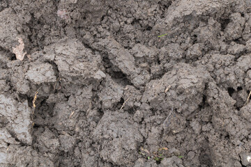 A closeup shot of the soil texture, showcasing its intricate details and textures