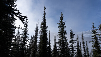 Banff National Park - Cirque Peak Hiking Trail. Backpacking. Canadian Rockies - Beautiful scenery, wallpapers