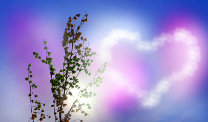 Soft blurred nature background with flowers, bright colorful sky. Blue, pink and purple. Fantasy...