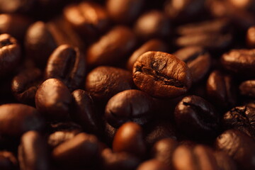 Naklejka premium Roasted coffee beans (needle roast), Cafe and coffee shop concept