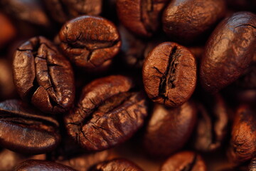 Roasted coffee beans (needle roast), Cafe and coffee shop concept