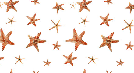 Fototapeta na wymiar Seamless Pattern. Starfish watercolor illustration. isolated white background. for invitations, summer accessories, postcards, travel lists, travel agency, business card, wallpaper, packaging cosmetic