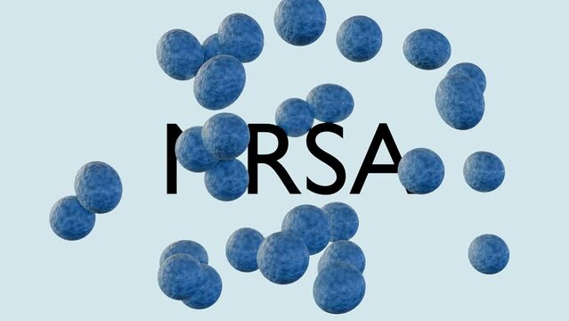 3d animation of MRSA, stands for methicillin-resistant Staphylococcus aureus, a type of bacteria that is resistant to several antibiotics