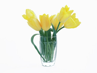 Yellow tulips in vase
