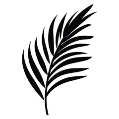 Palm banana leaf silhouette vector.