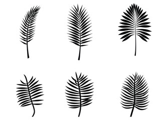 Palm banana leaf silhouette vector. - obrazy, fototapety, plakaty