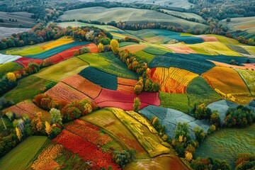 Aerial view of patchwork fields in lush countryside showcasing agriculture and rural beauty.
