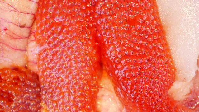 seer fish egg raw selling at fish market 