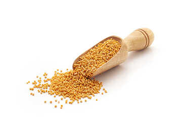 Front view of a wooden scoop filled with Organic Mustard seeds (Sinapis alba). Isolated on a white...