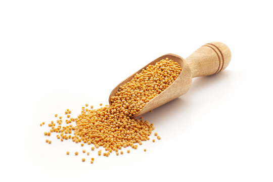 Front view of a wooden scoop filled with Organic Mustard seeds (Sinapis alba). Isolated on a white background.