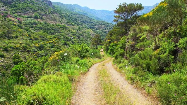 Road to Watermill of Aris potamos near beach town of Karavostamo, Ikaria Greece with mountain cliff landscape nature view