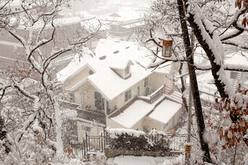 snow covered house
