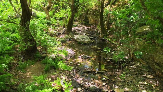 Aris river near old abandoned watermill at coastal town of Karavostamo, Ikaria Greece with forest landscape nature view
