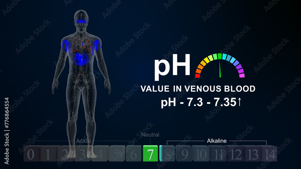 Wall mural ph value in venous blood 3d illustration