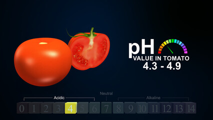 pH value in tomato 3d illustration