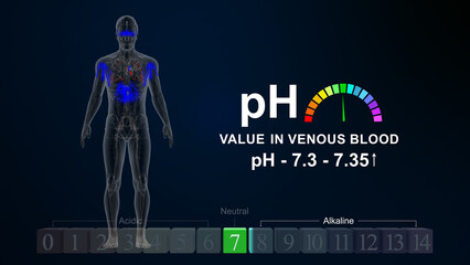 pH value in venous blood 3d illustration 