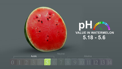 pH value in watermelon 3d illustration