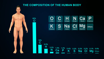 Compositions of the human body 3d illustration