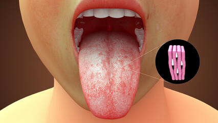 Tongue Striped muscles 3d illustration - obrazy, fototapety, plakaty