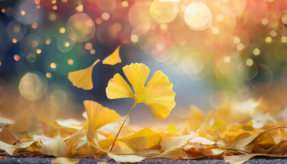 秋を感じるイチョウ。イチョウの落ち葉。紅葉。Ginkgo biloba makes you feel autumn. Fallen leaves of ginkgo. autumn leaves.