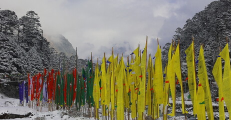 frosty cold winter at yumthang valley, buddhist prayer flags flying in the valley, surrounded by himalaya mountains and forest, north sikkim in india - obrazy, fototapety, plakaty