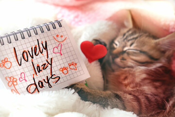 Text Lovely Lazy Days and pretty cute kitten relaxing on the bed  with red hearts. Tabby cat. Funny pets. Napping kitten. Cozy and comfort