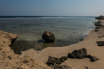 single coral rock in a sandy bay at the red sea on vacation