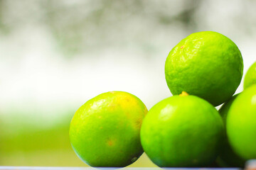 lime in the garden.