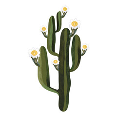 Saguaro. Blooming cactus with white and yellow flowers. Plants for the home. Floriculture. Desert flora. Isolated watercolor illustration on white background. Clipart.