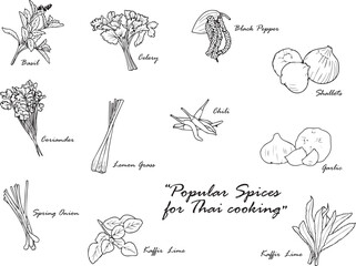 Hand-drawn black and white line drawings on a white background depict vegetables and herbs that are important ingredients in Thai cooking, giving it a unique and Thai aroma.