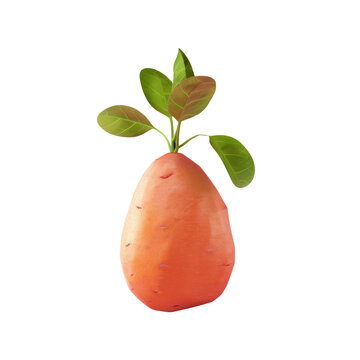 A small plant sprouting from a carrot