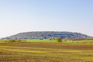 Hill in a rural landscape view with green growing plants at spring