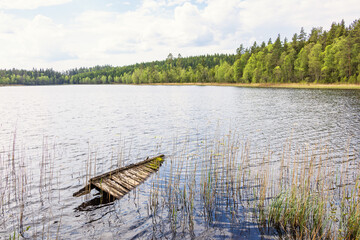Lake in the forest with an old sunken wooden jetty - 776920395