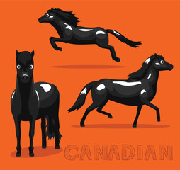 Horse Canadian Cartoon Vector Illustration