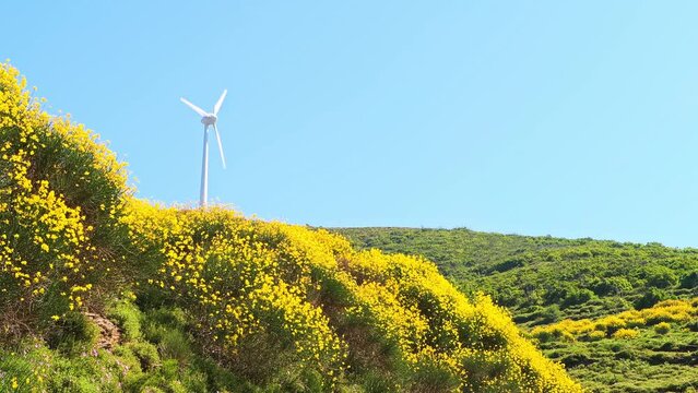 Windmill wind turbine at windfarm for renewable energy and electrivity generation at Perdiki of Ikaria island, Greece of North Aegean